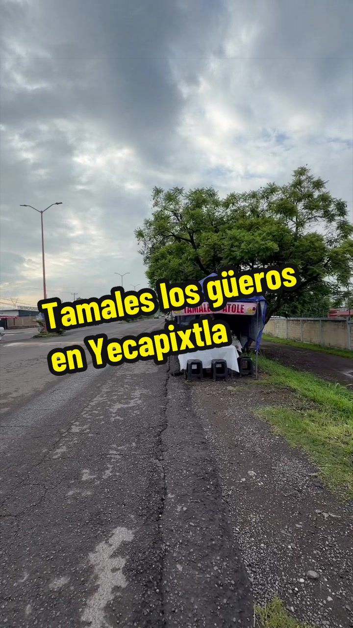 @elbauldemorelosoficial