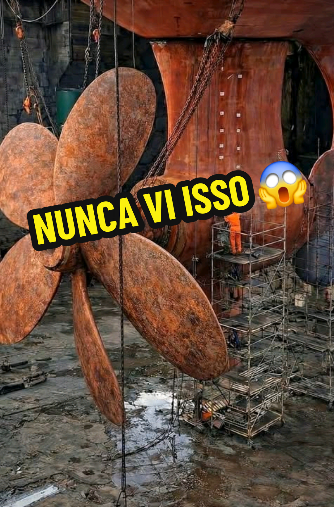 @RAIZ DO SABER
