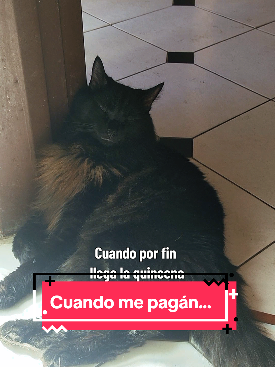 @coslune