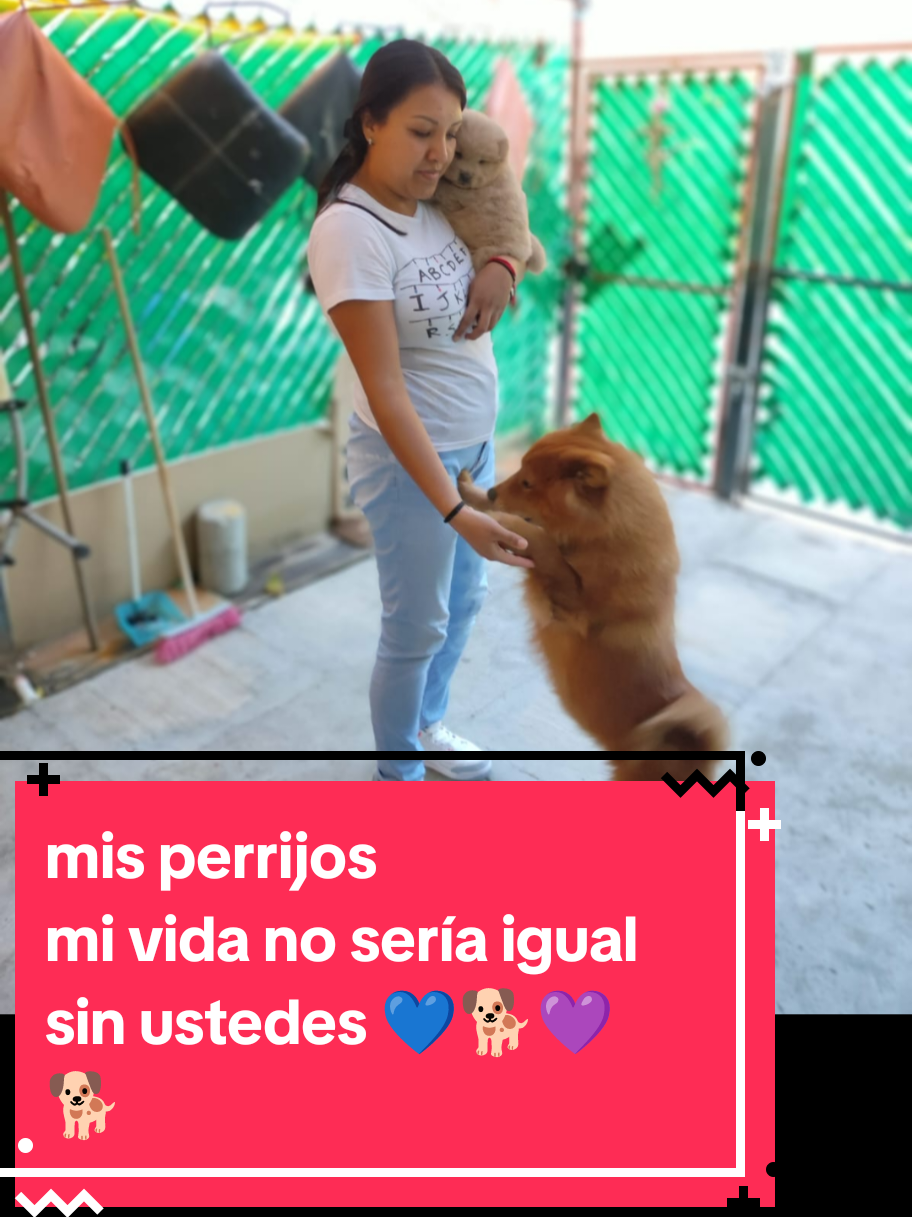 @Lizzi VzM🦋