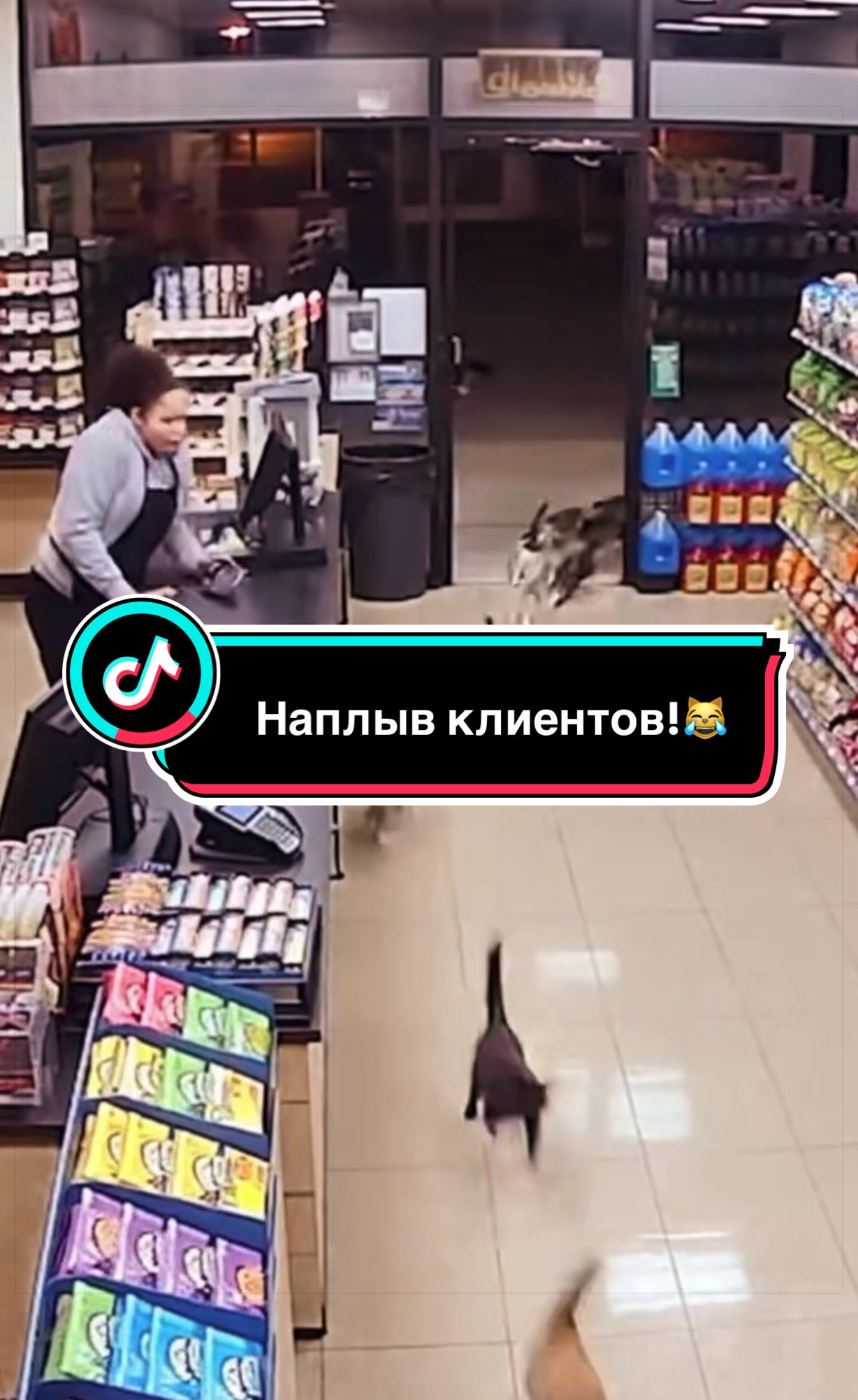 @Саня Пагон &clubs;️