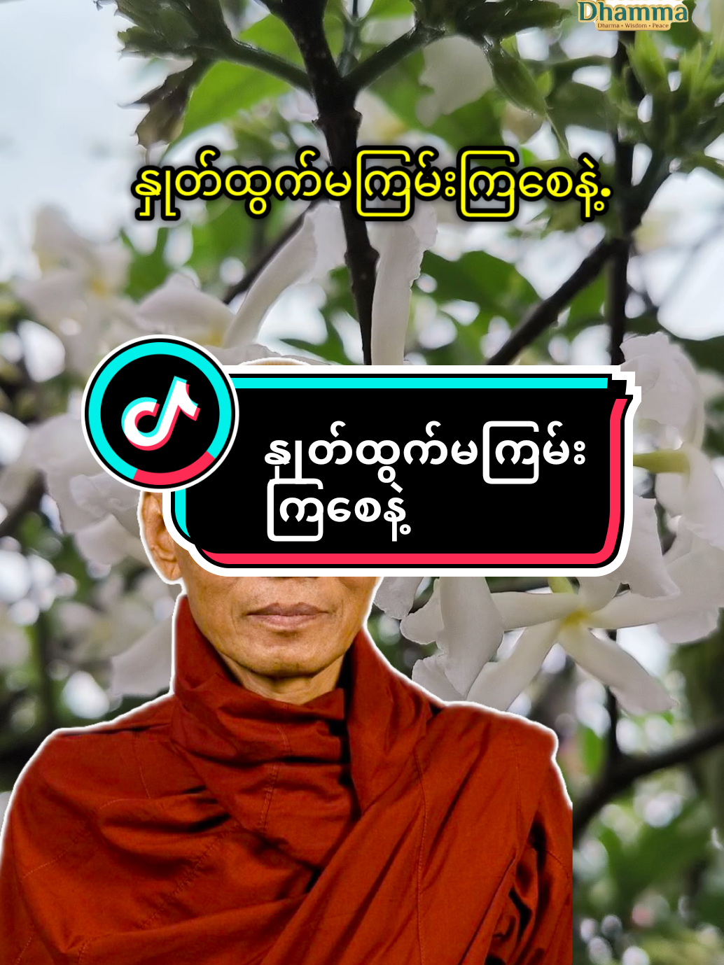 @๐๐๐ญ๐ฎ๐ซ๐ & ๐๐ก๐๐ฆ๐ฆ๐