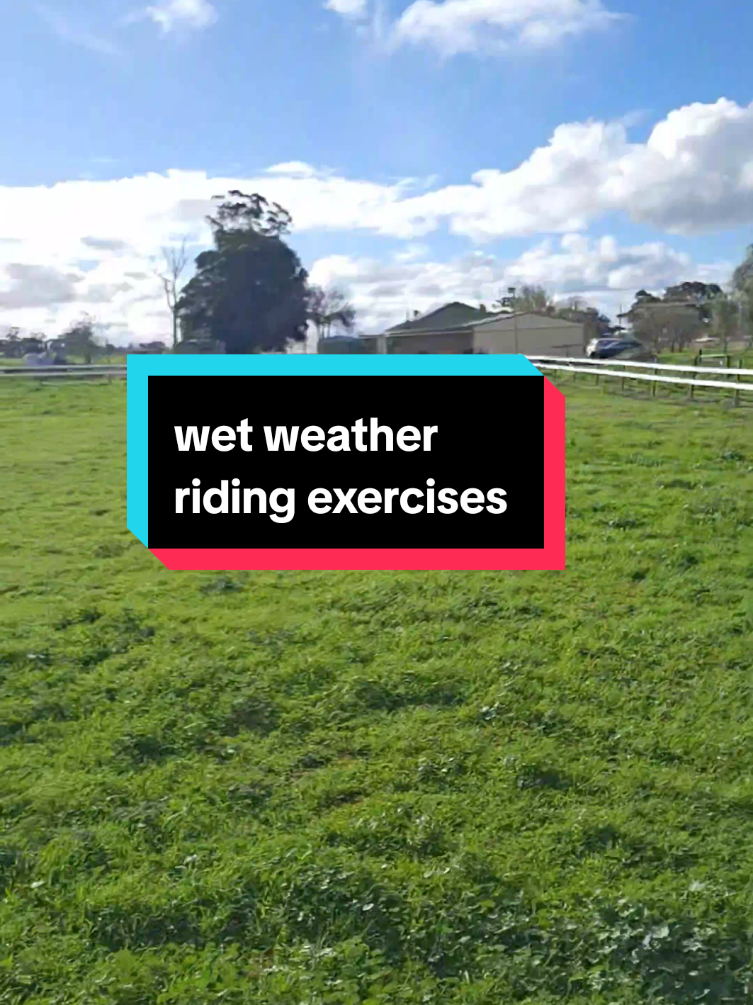 @Jess | Horse trainer