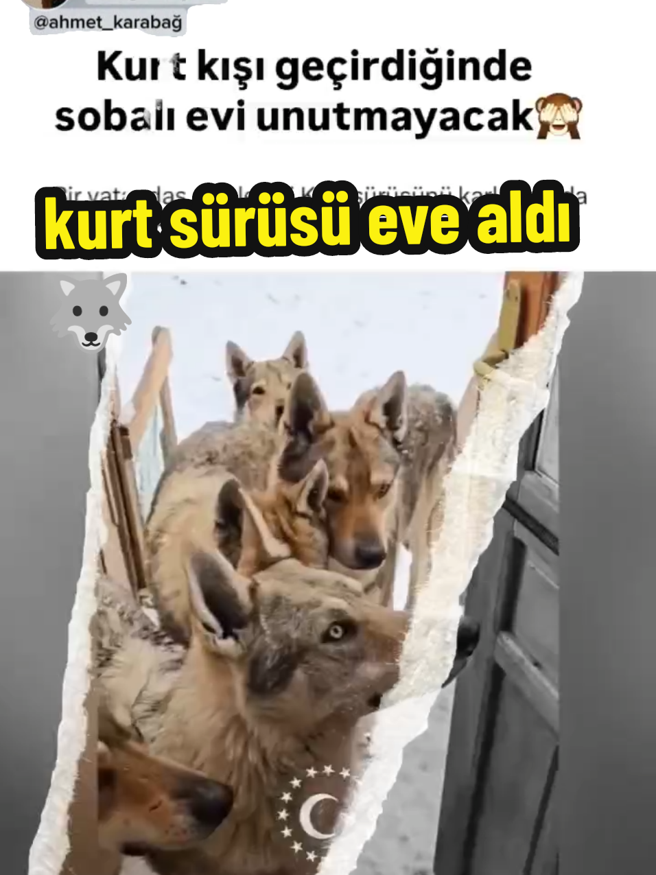 @doğa hayranı