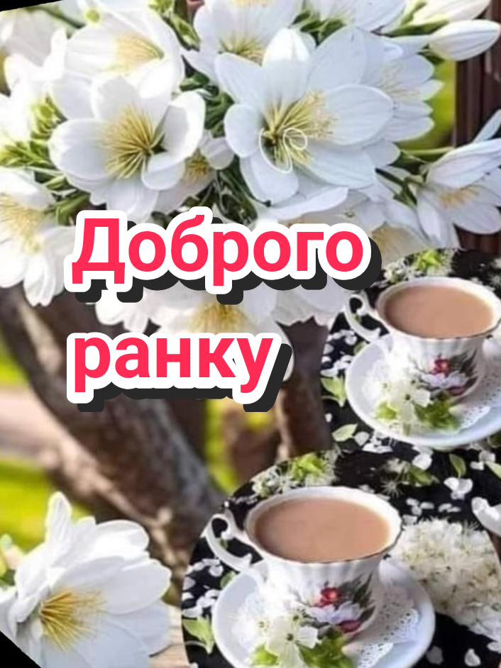 @🌹 𝐋𝐚𝐫𝐢𝐬𝐚 🌹