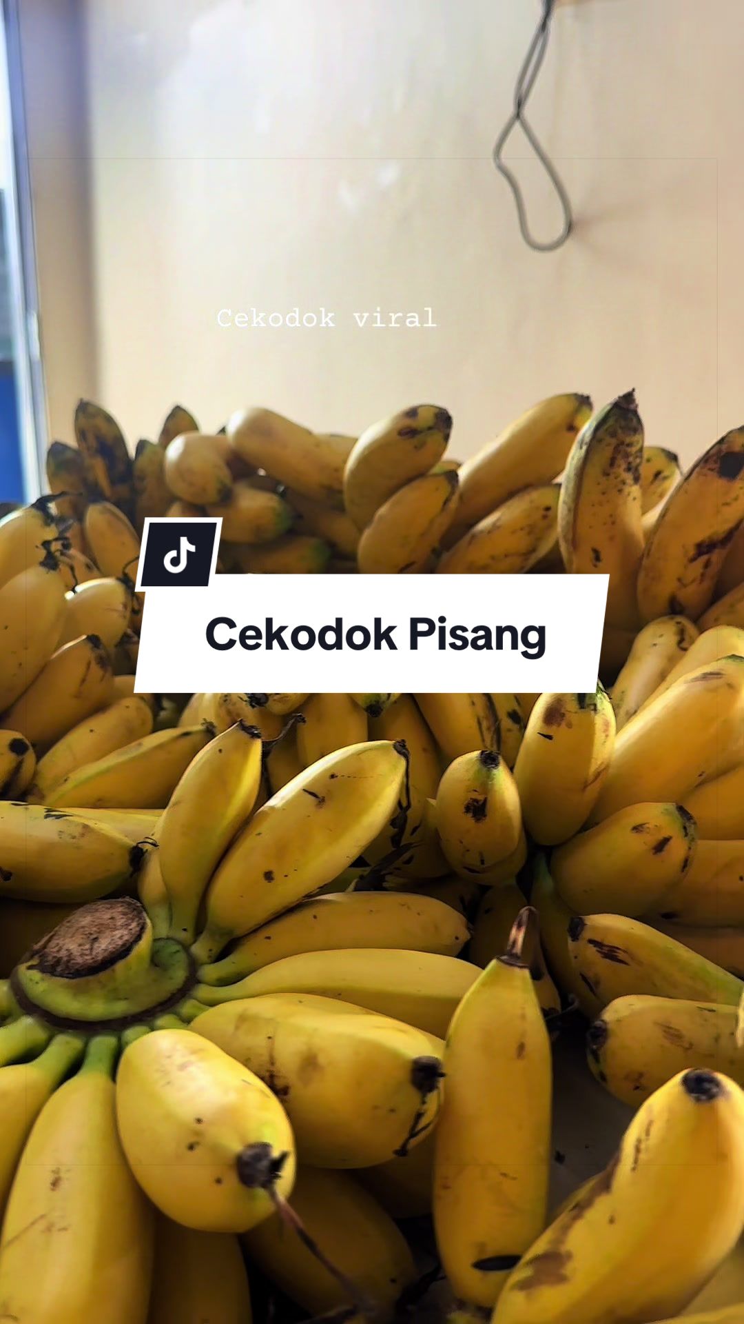 @Cendollily