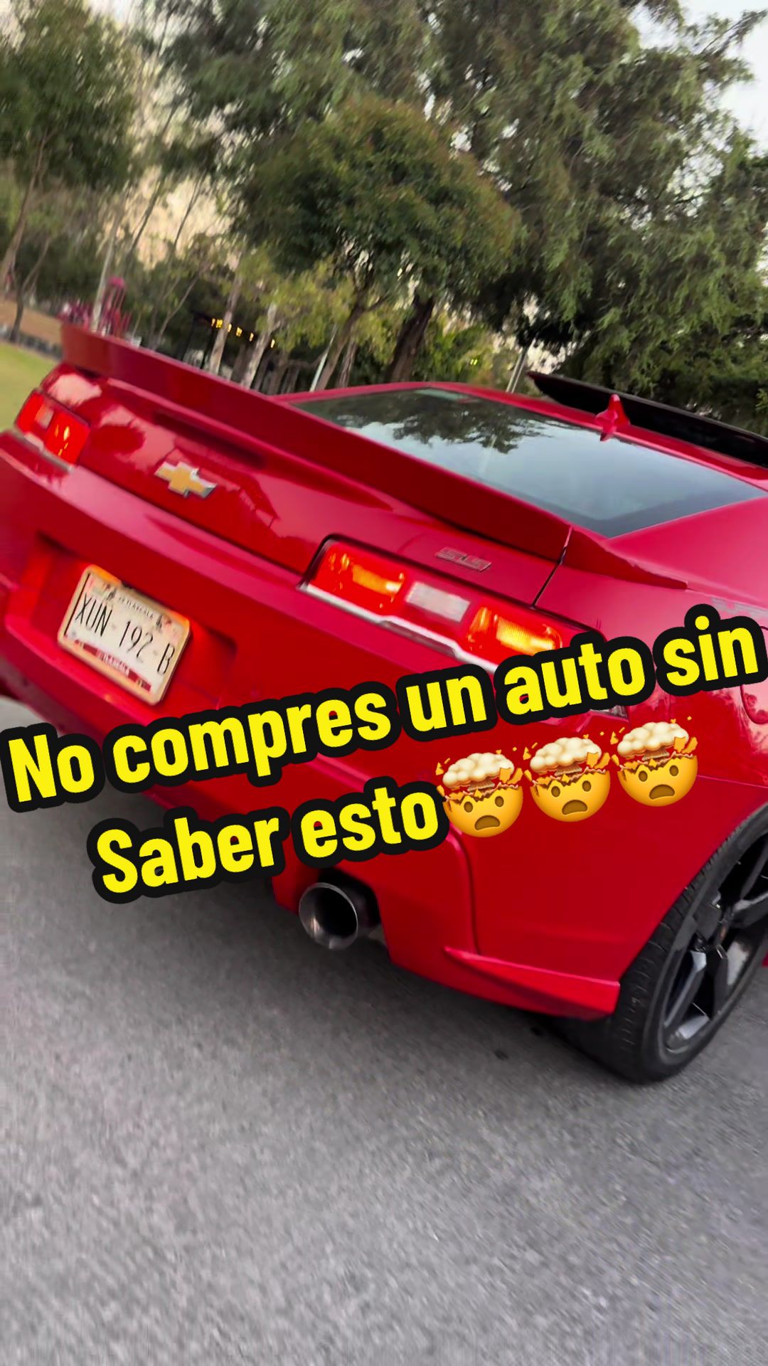 @Leo Babinez