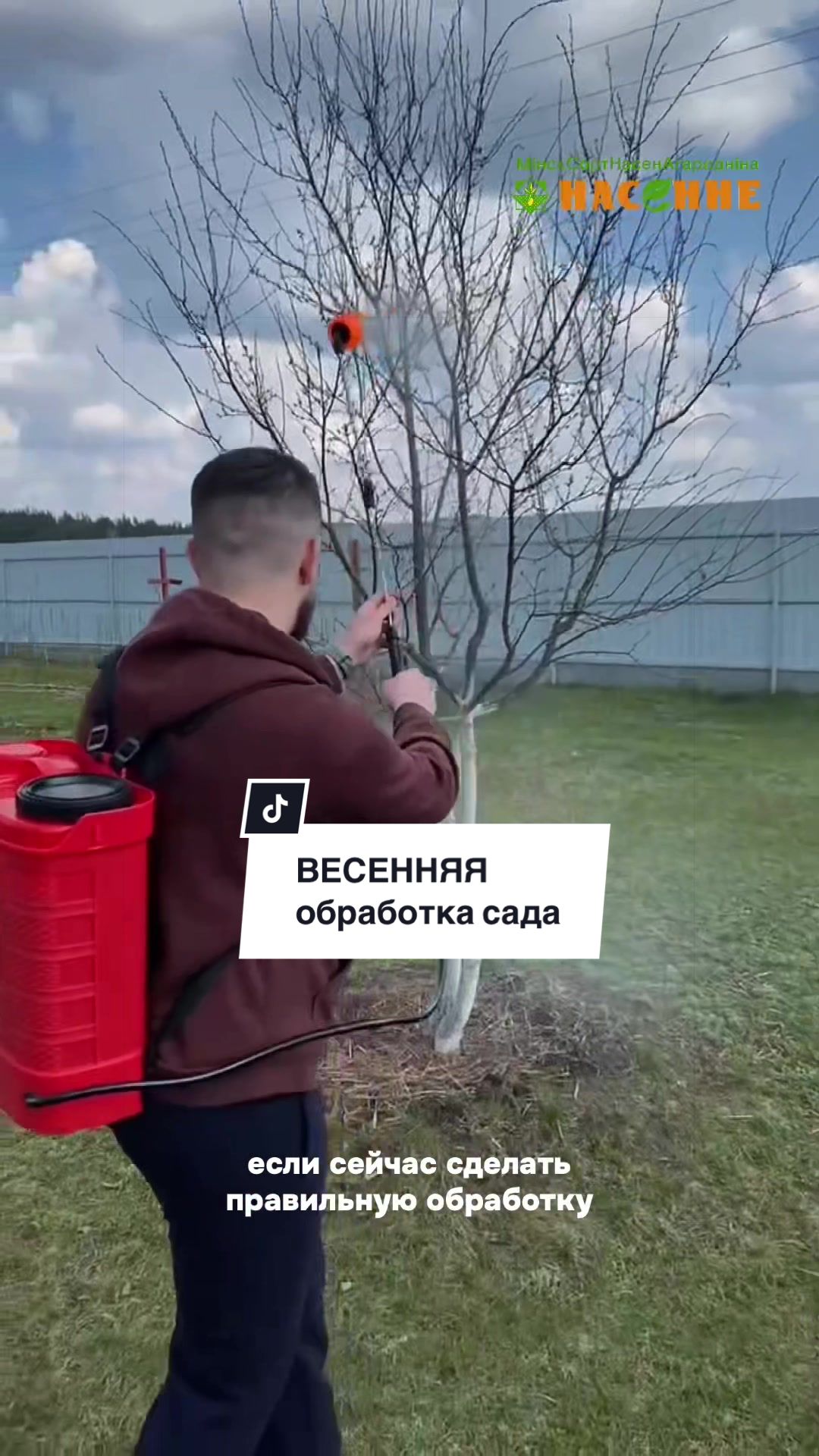 @nasenneby