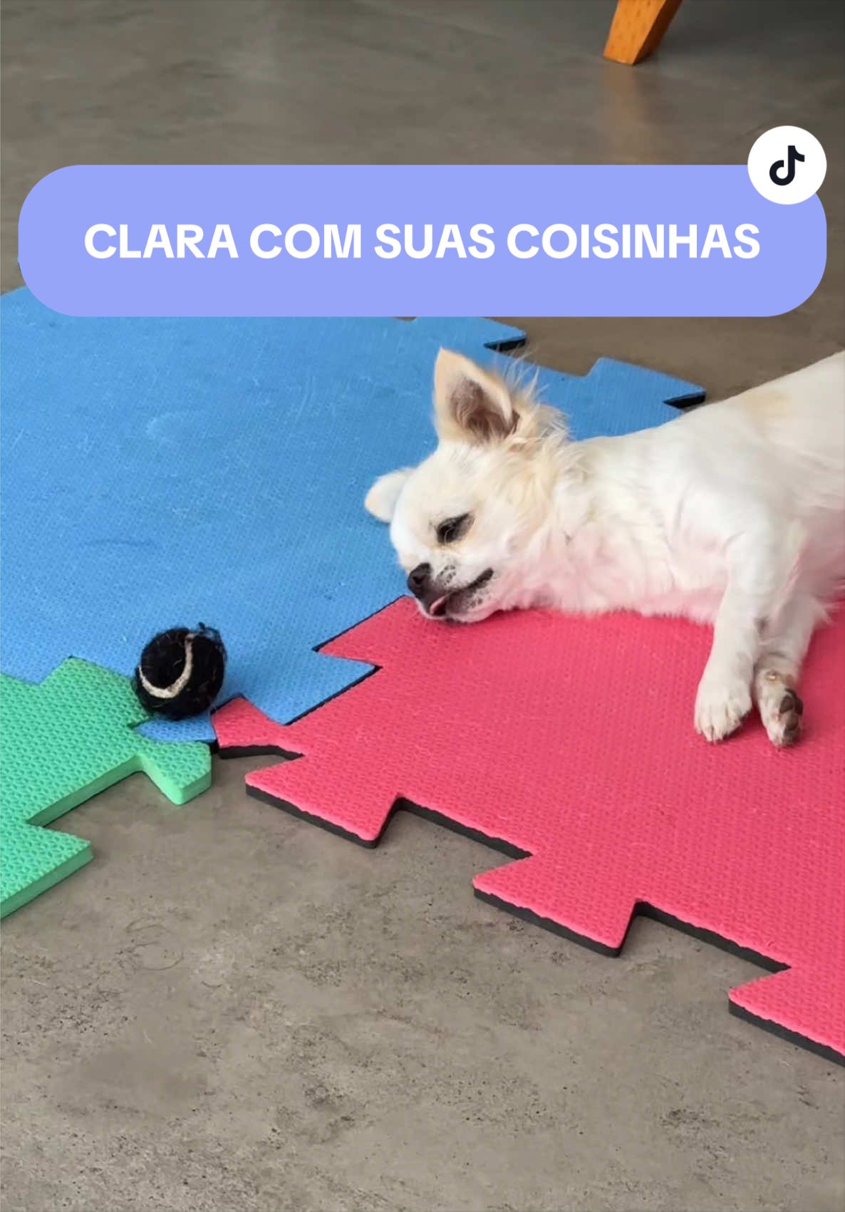 @Pequenos Pr&iacute;ncipes