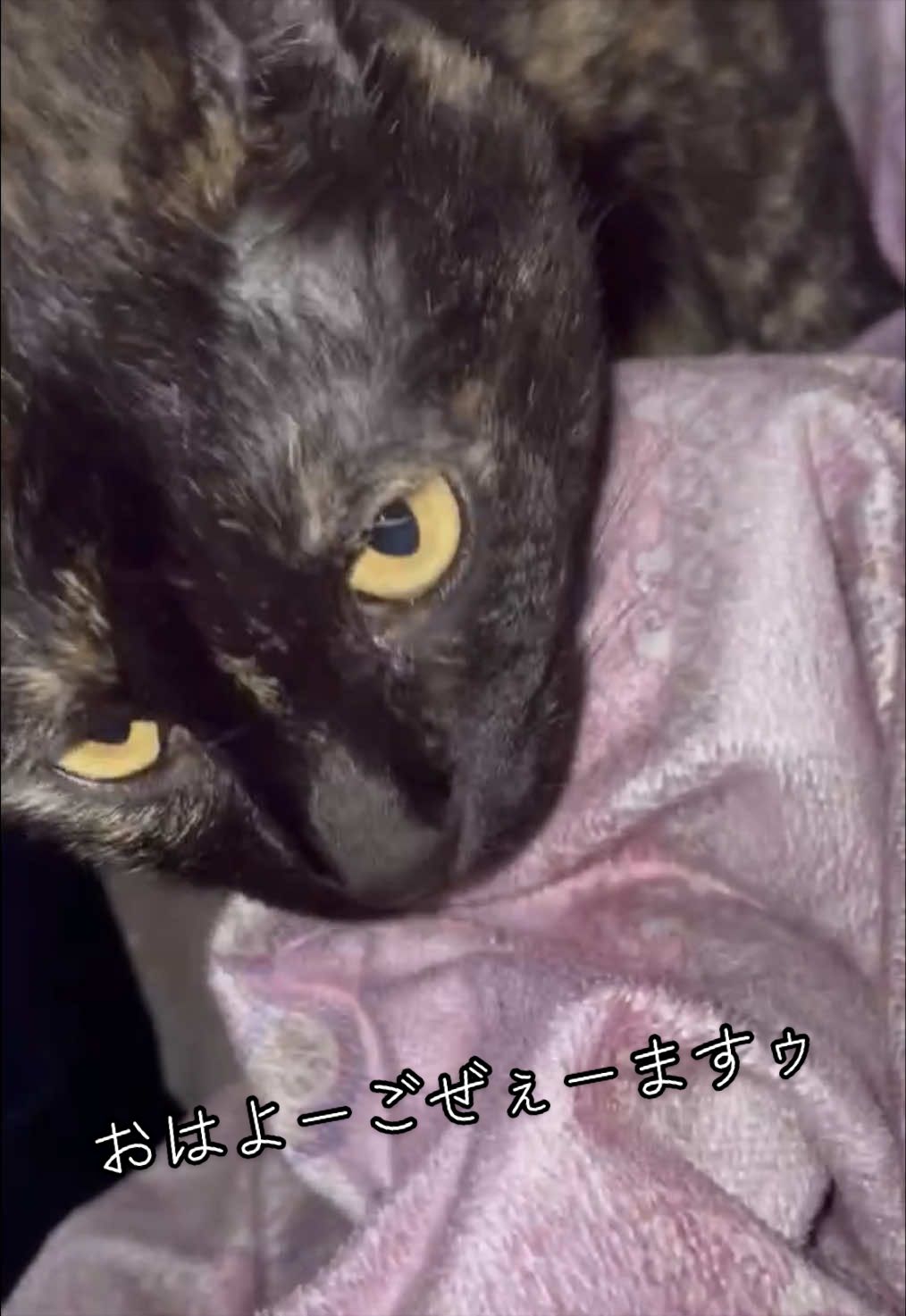@聴々物語PROJECT