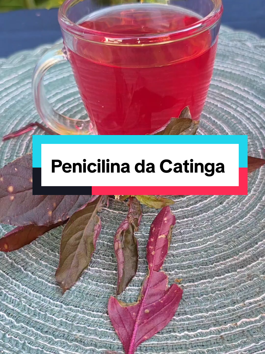@Dicas e Receitas Naturais
