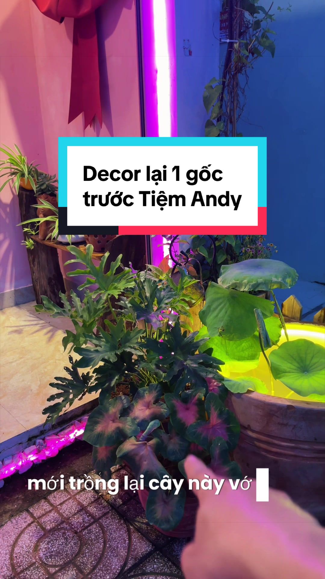 @AndyTrần có cái SPA 🏝️ 🤓 ☘️
