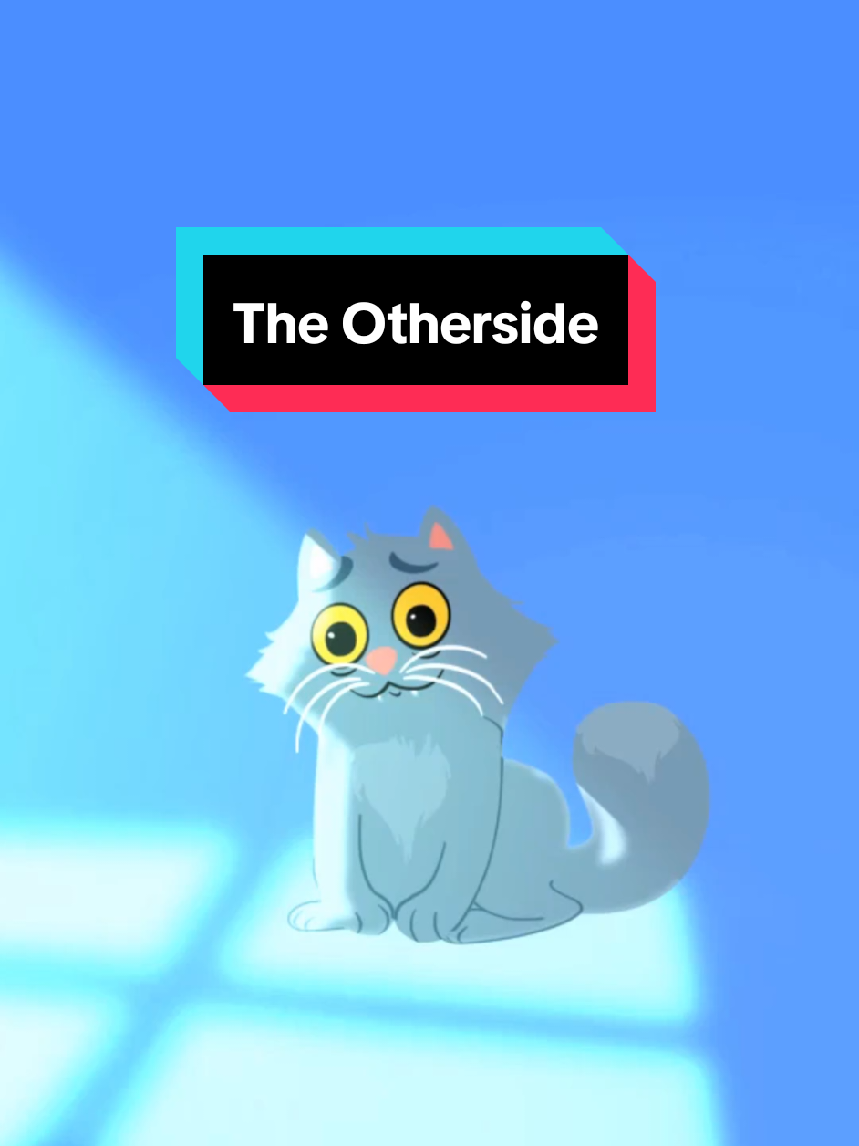 @Sydney the Song Cat