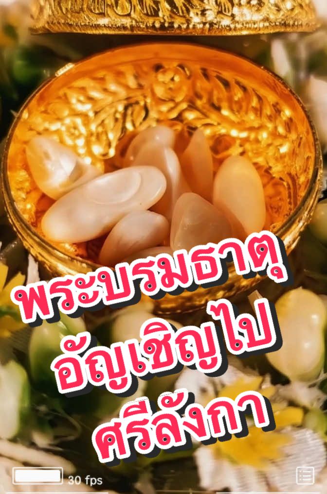 @DanaiChanchaochai