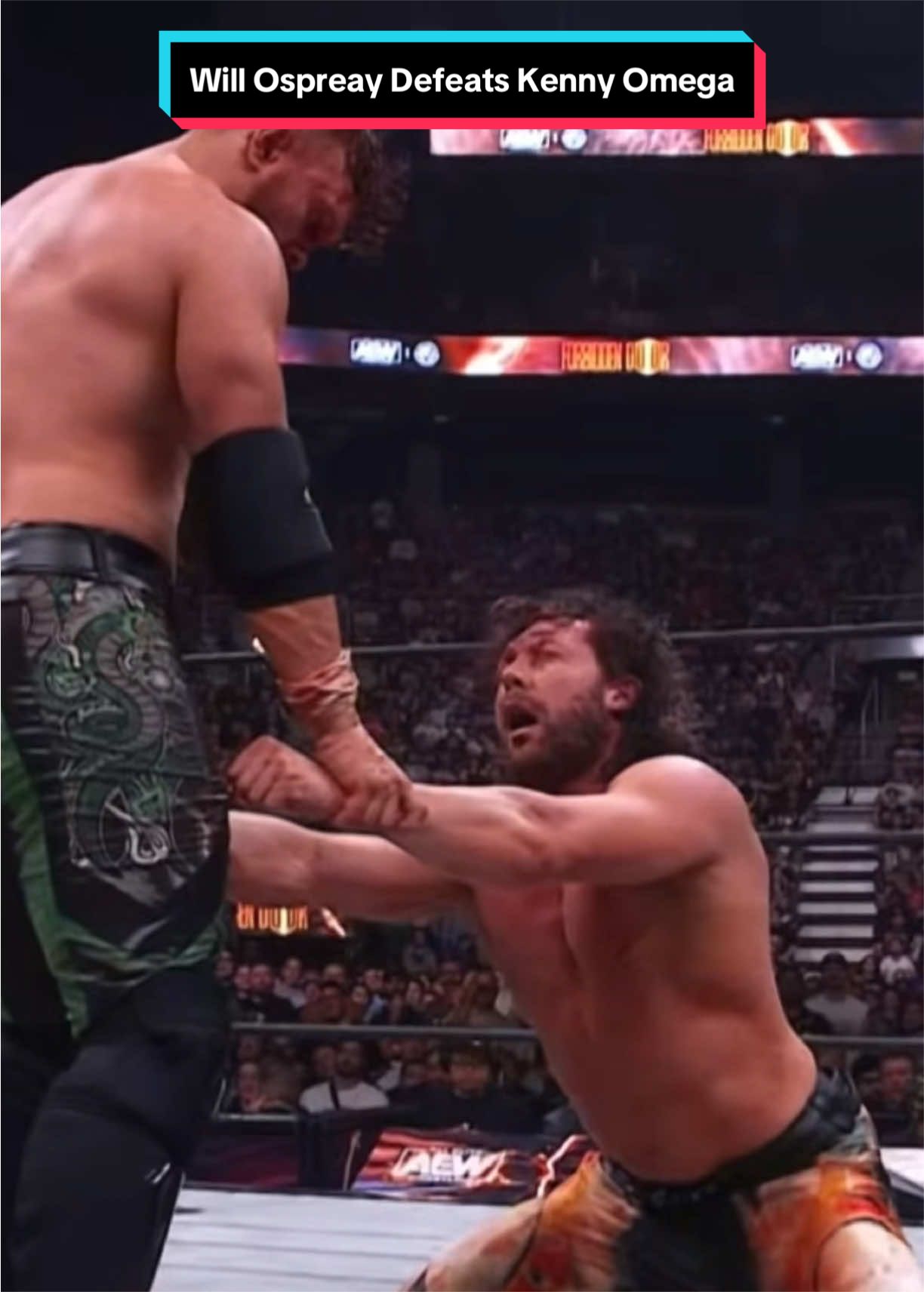 @WWE | AEW | TNA | NJPW