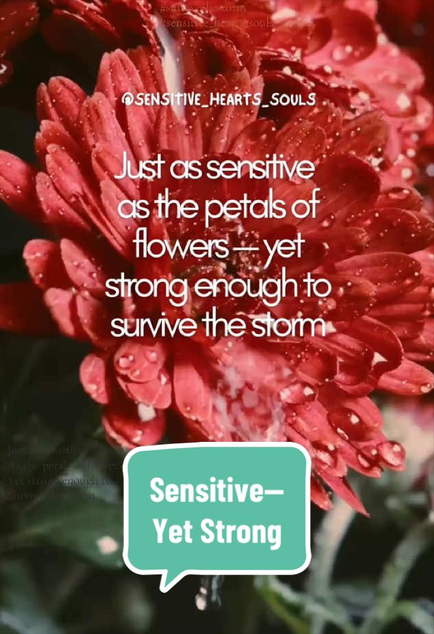 @🦋Sensitive Hearts & Souls🦋