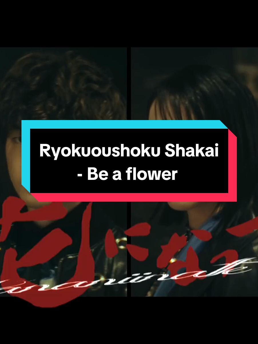 @「 ✦ S H A D O W ✦ 」