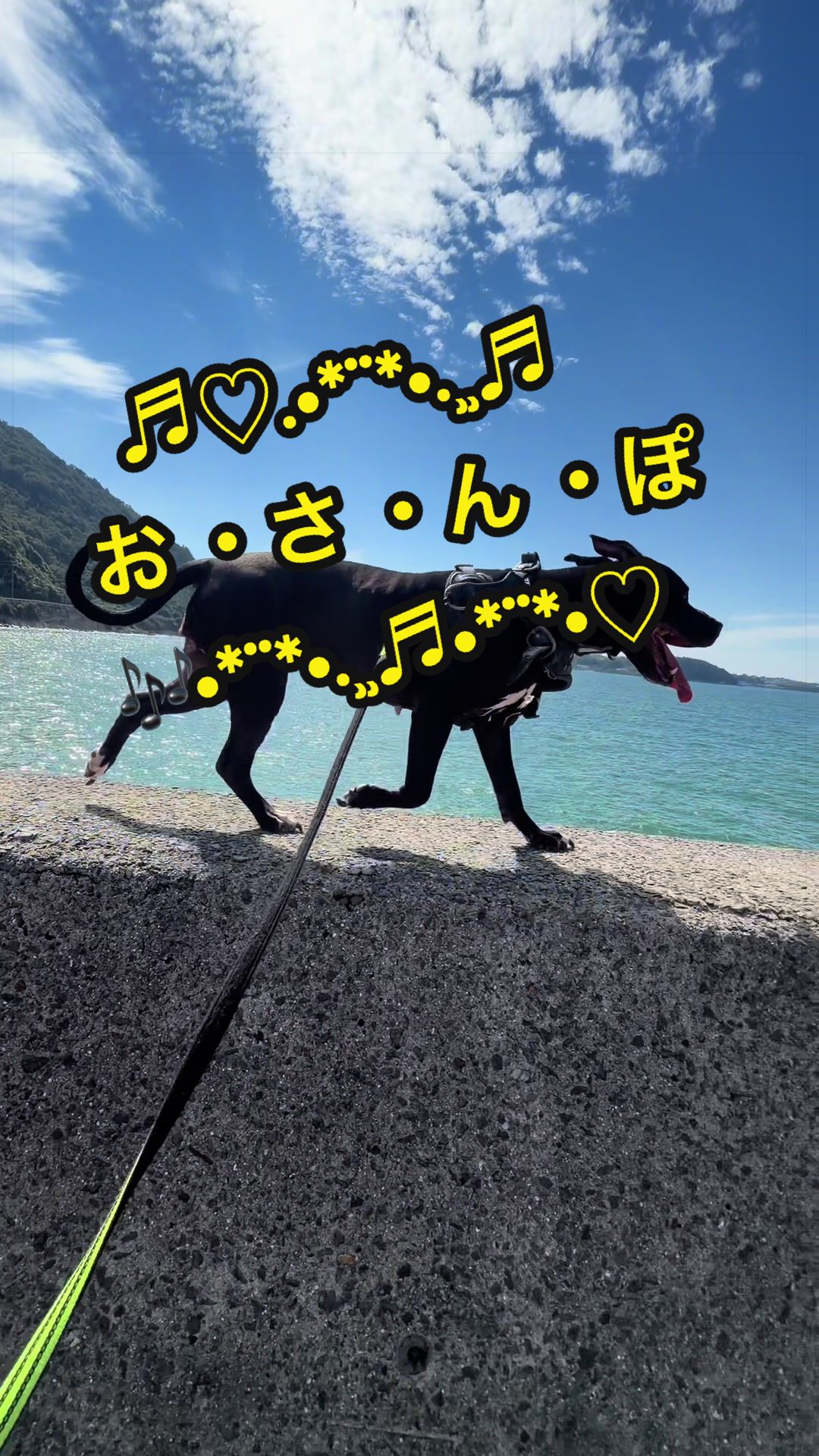 @✌︎·͜·(PᗜN)·͜· ︎︎ᰔᩚ