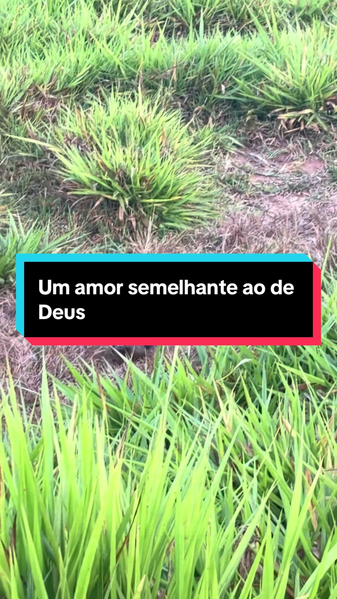 @🍀Santos🚜