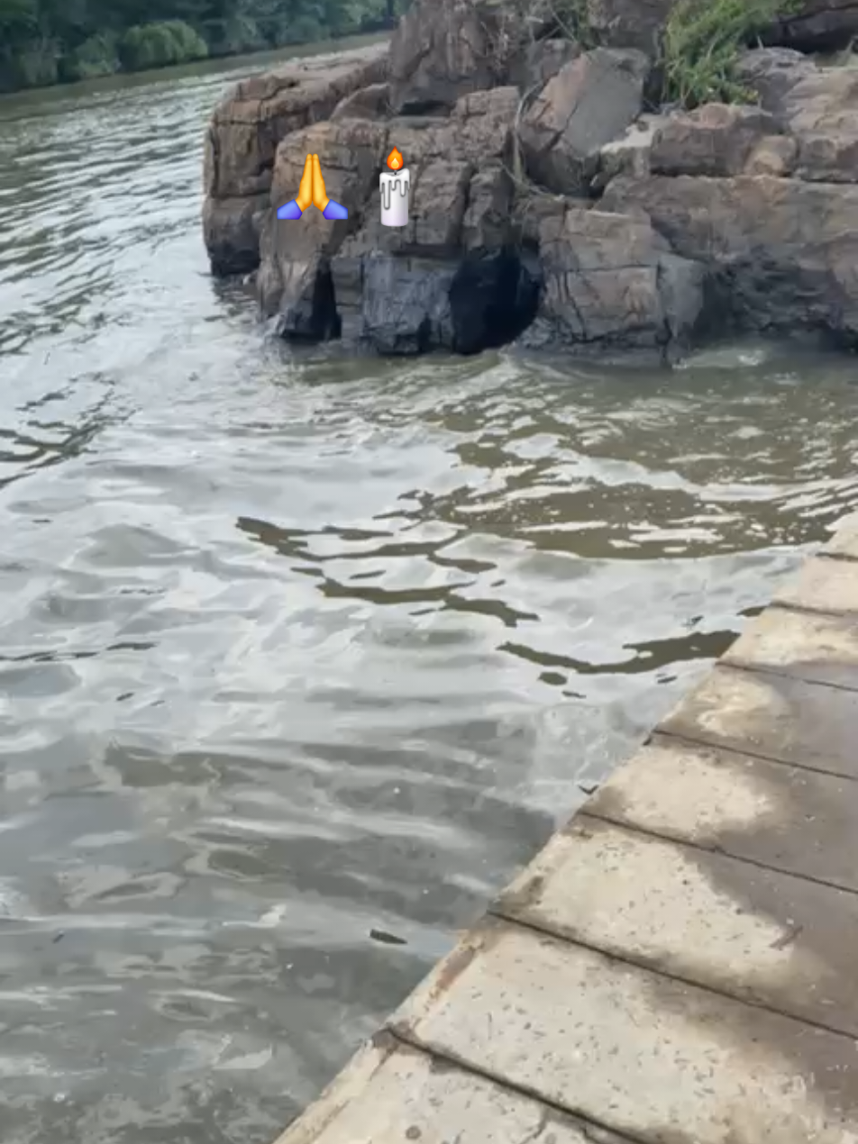 @Mabelaney_Milly♥️🦥