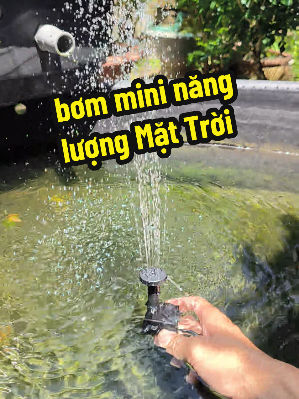 @Ngắm Cá Online