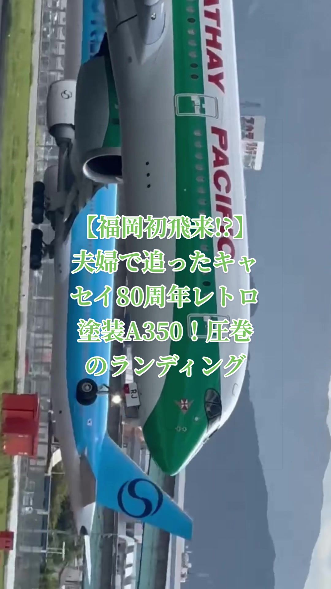 @✈️トト旦