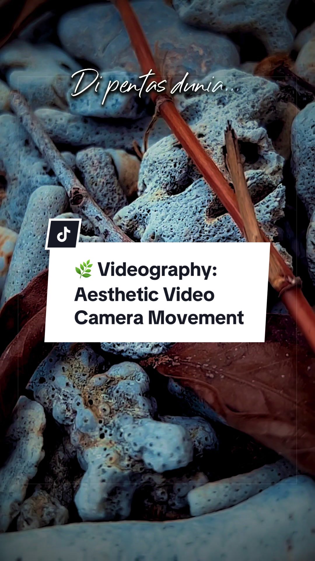 @Muhammad | Videographer