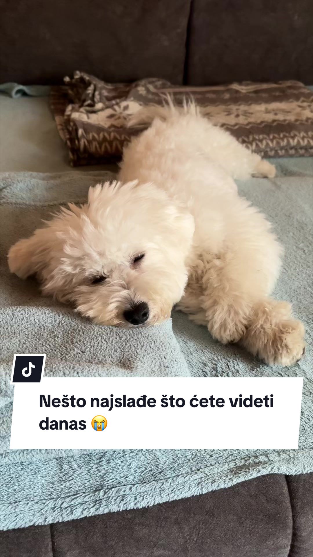 @Medić Bojana