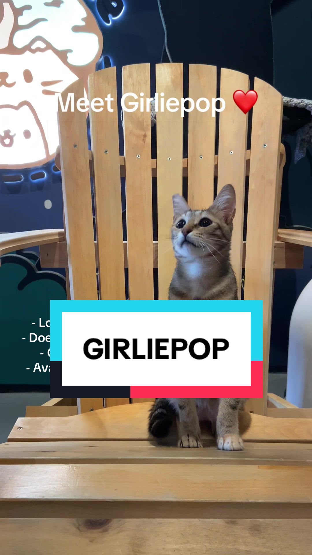 @Catoro Cat Cafe