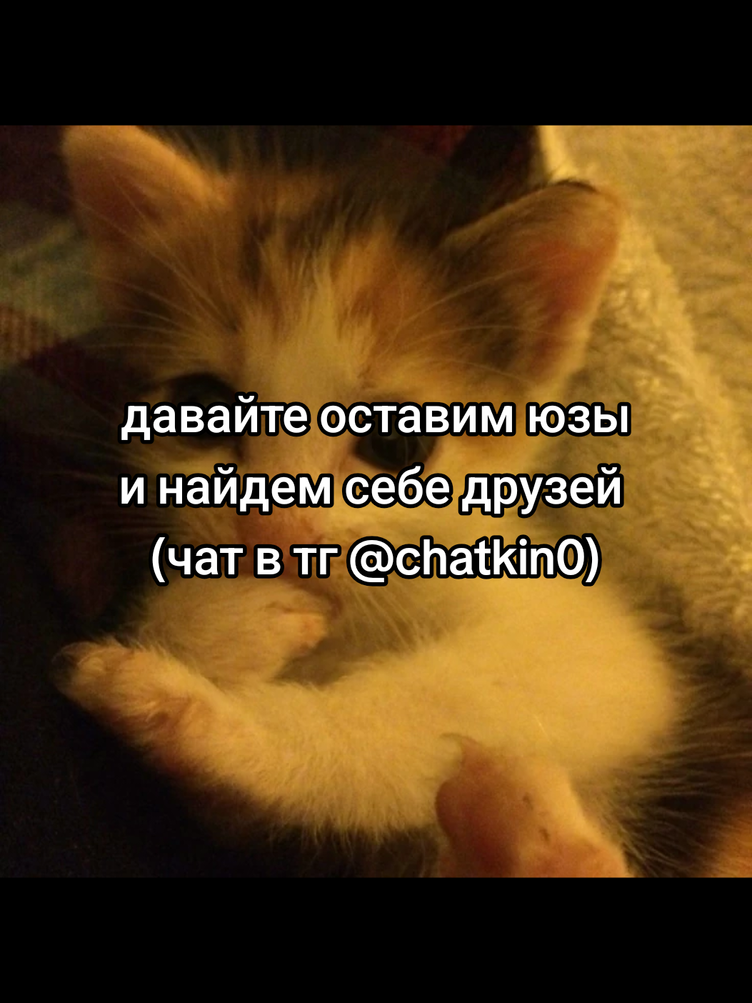 @cqtagger