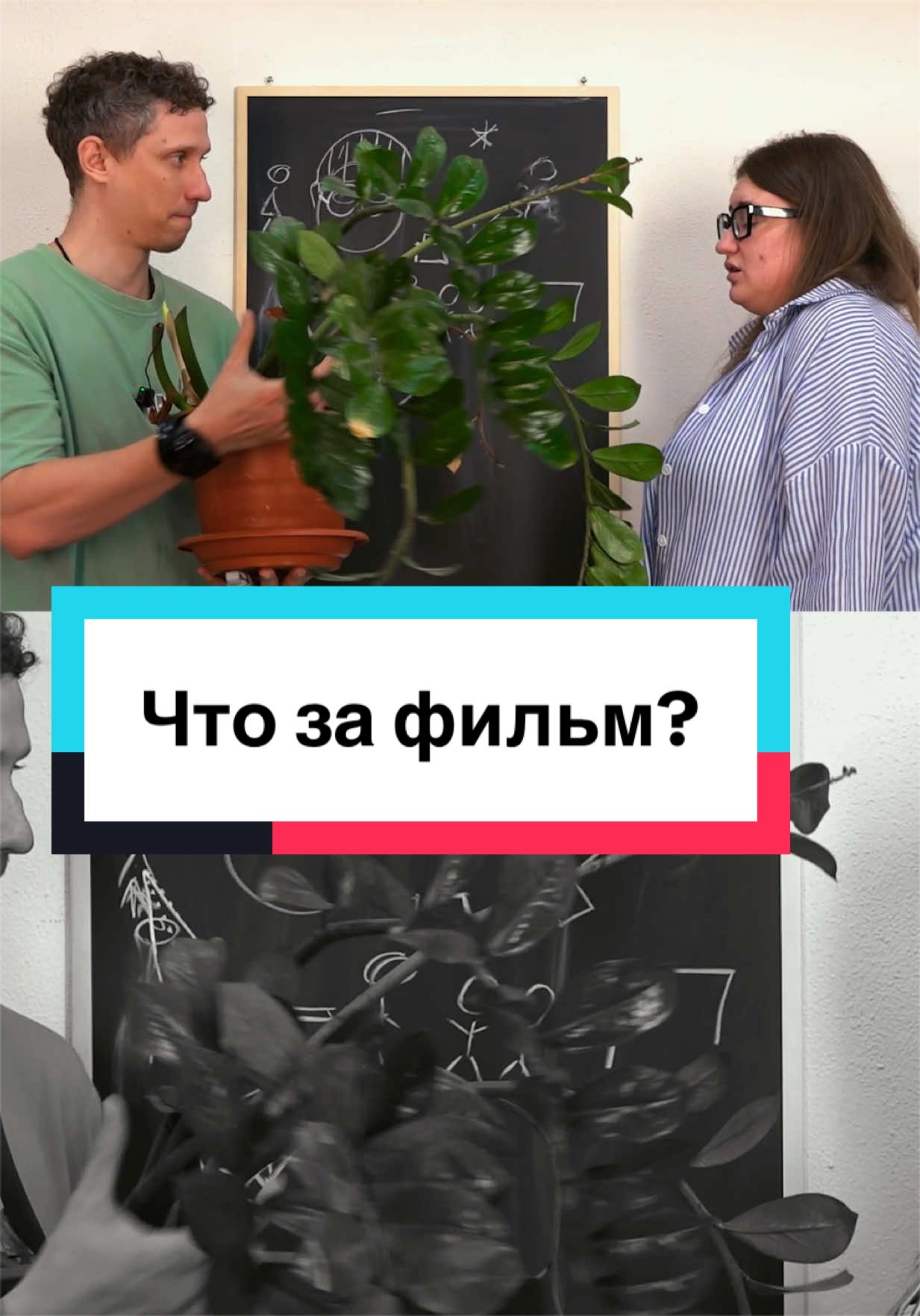 @KornevSHOW