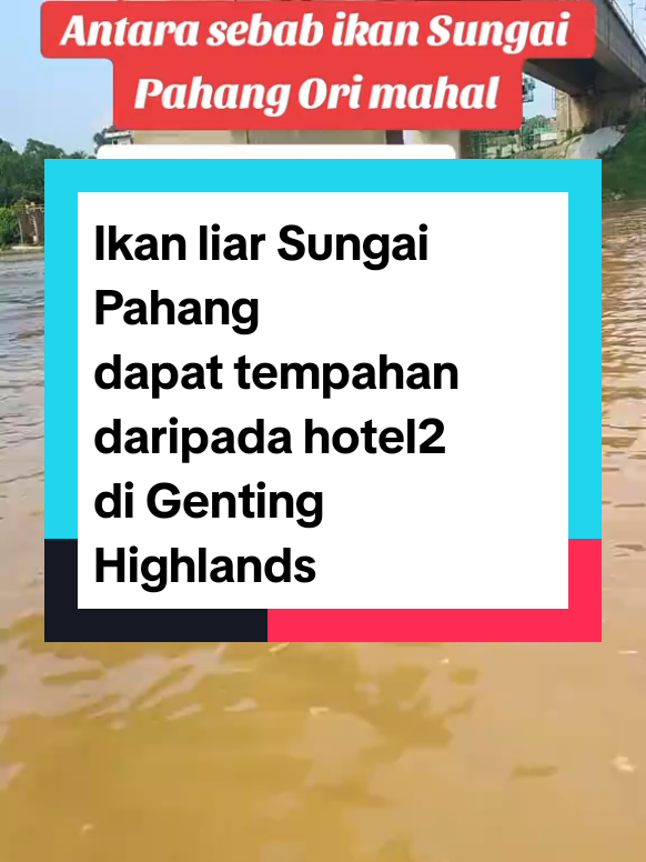 @PUTERA SEMANTAN