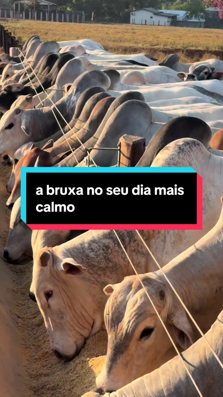 @🍀Santos🚜