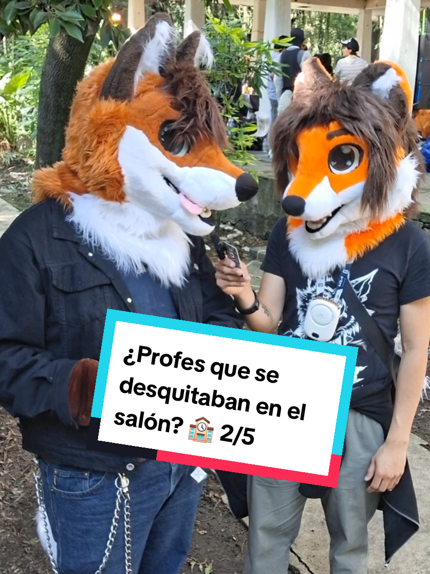 @Becobeza