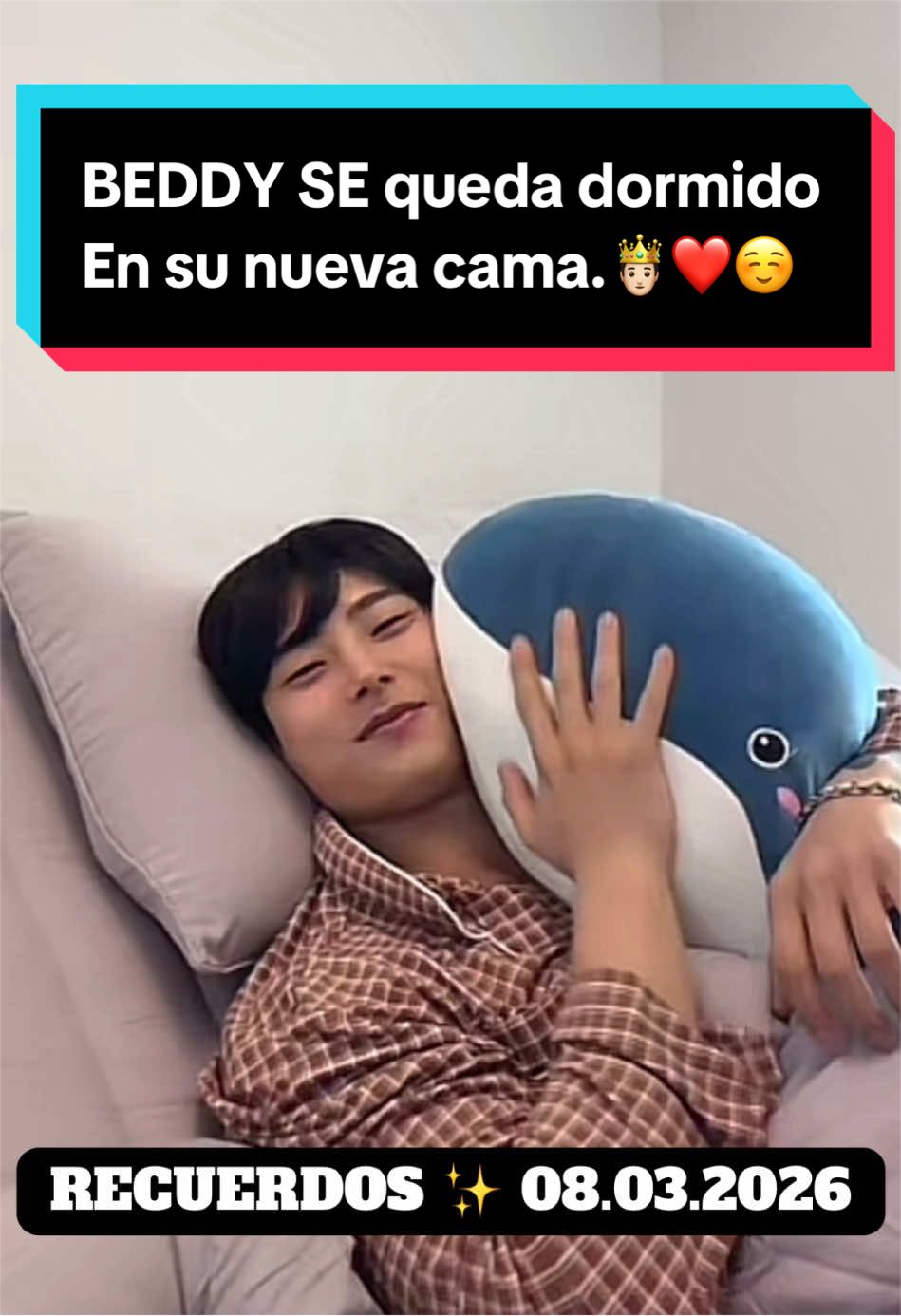 @🧸💖Chichibeddy🇰🇷🇩🇴