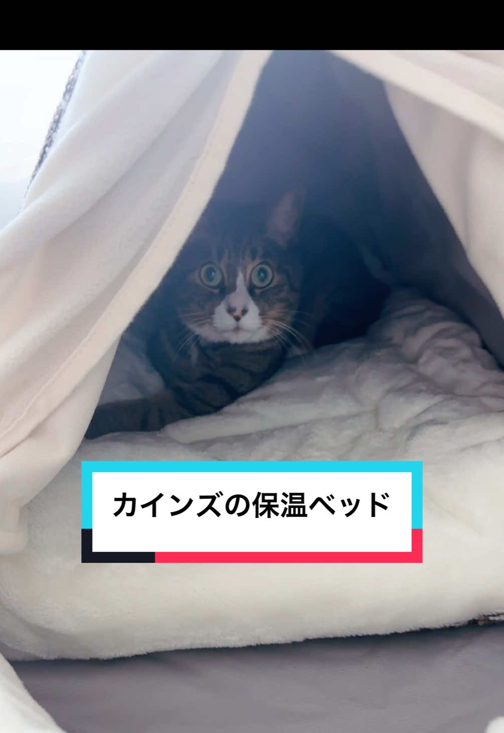 @ルーレオ
