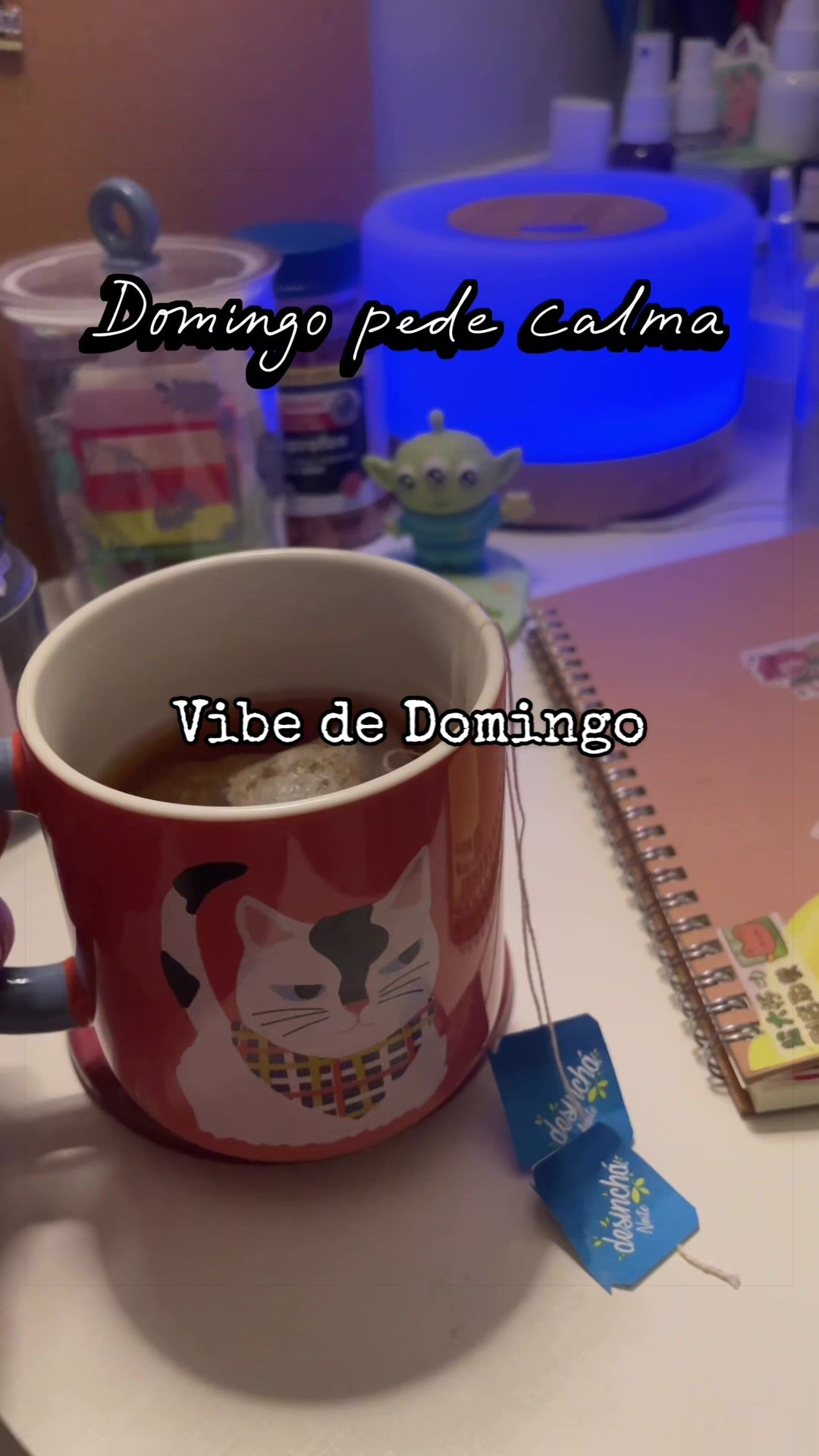 @LiEstevam