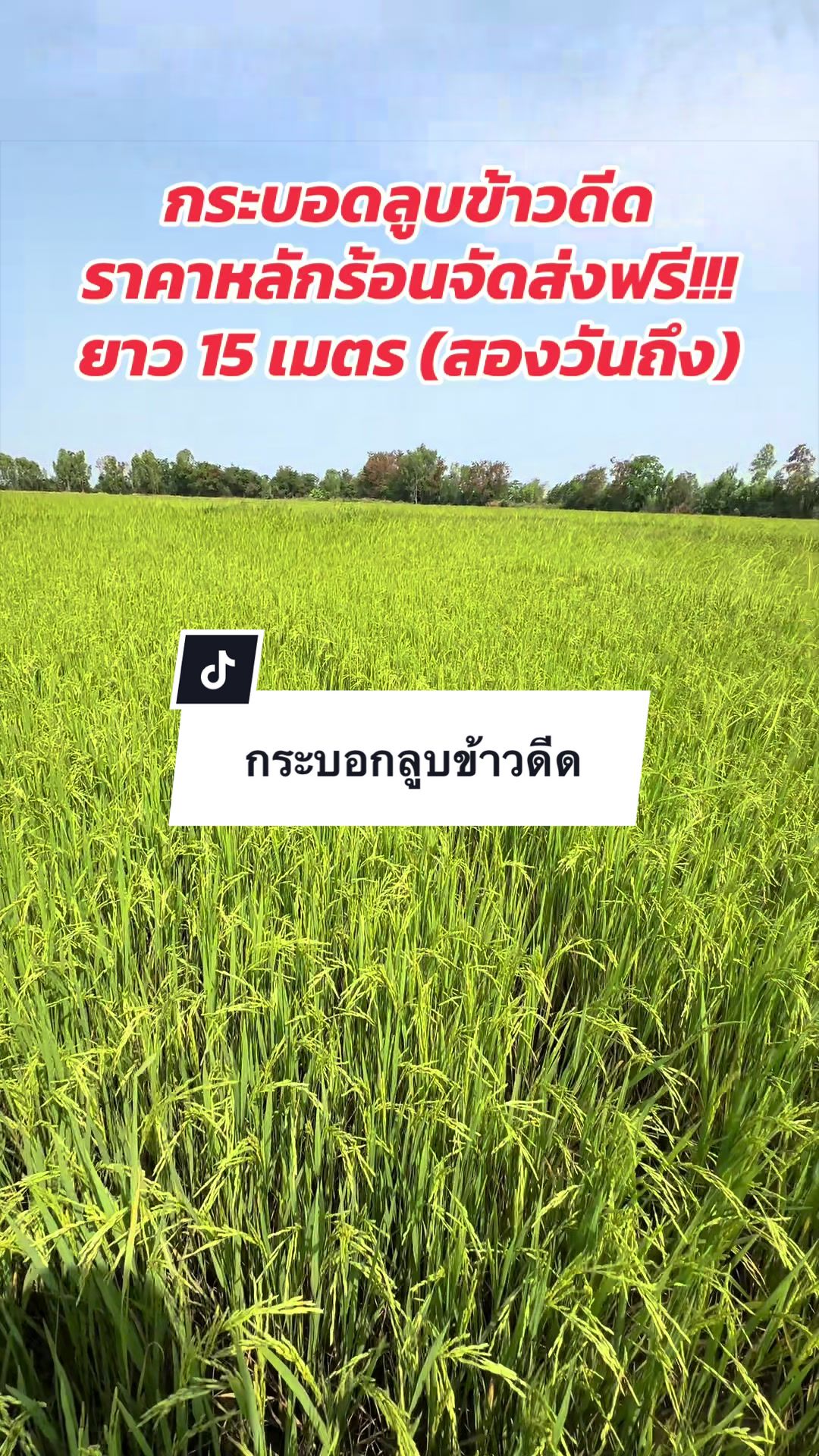 @อาเฮียหลี อาหลีเฮีย