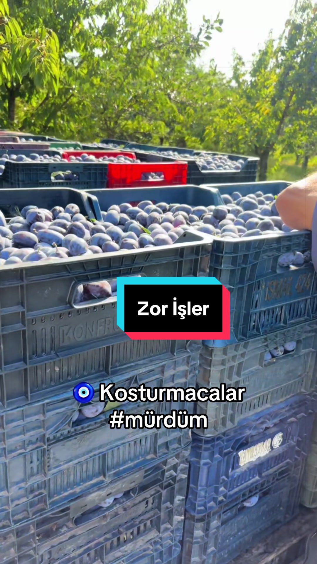 @Arda 👑