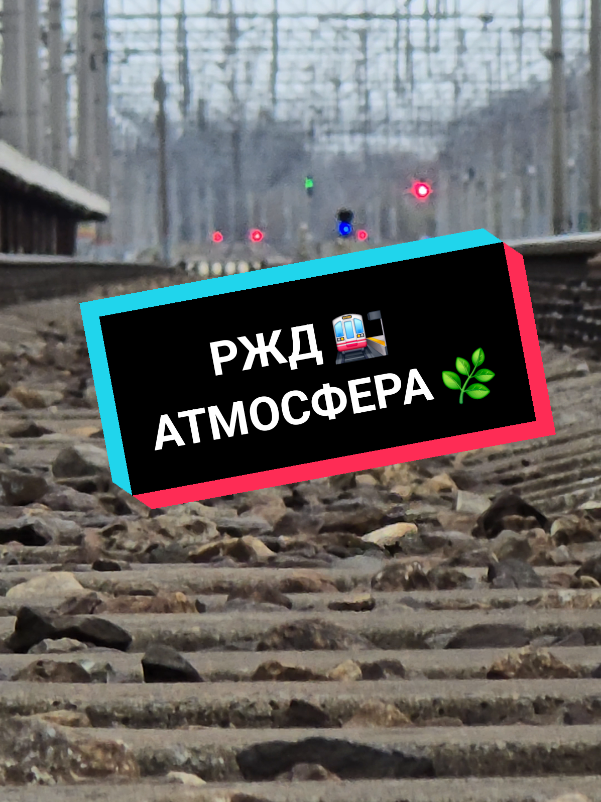@Дмитрий Шейкин