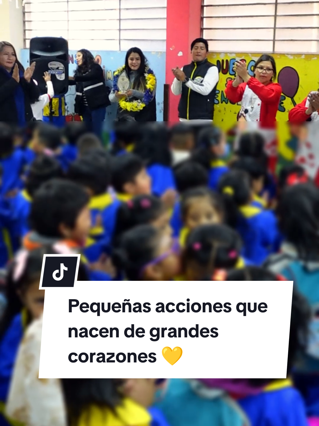 @Importadora cyc