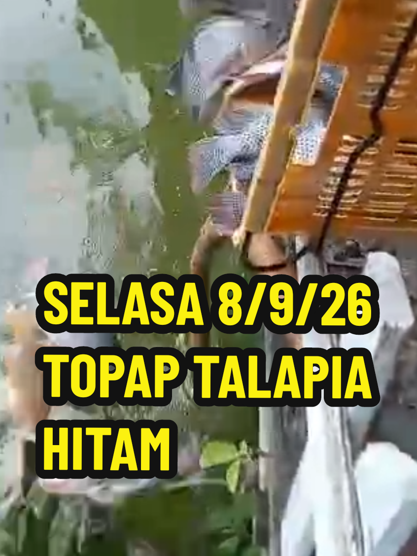 @SilatangBugis