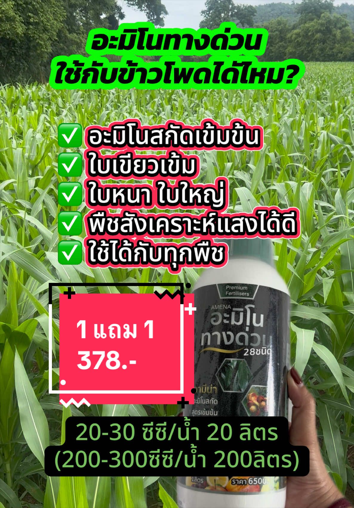 @ชาวสวนที่ชอบขายของ