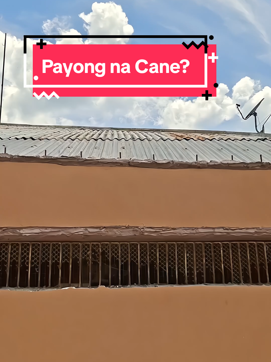 @Junelo