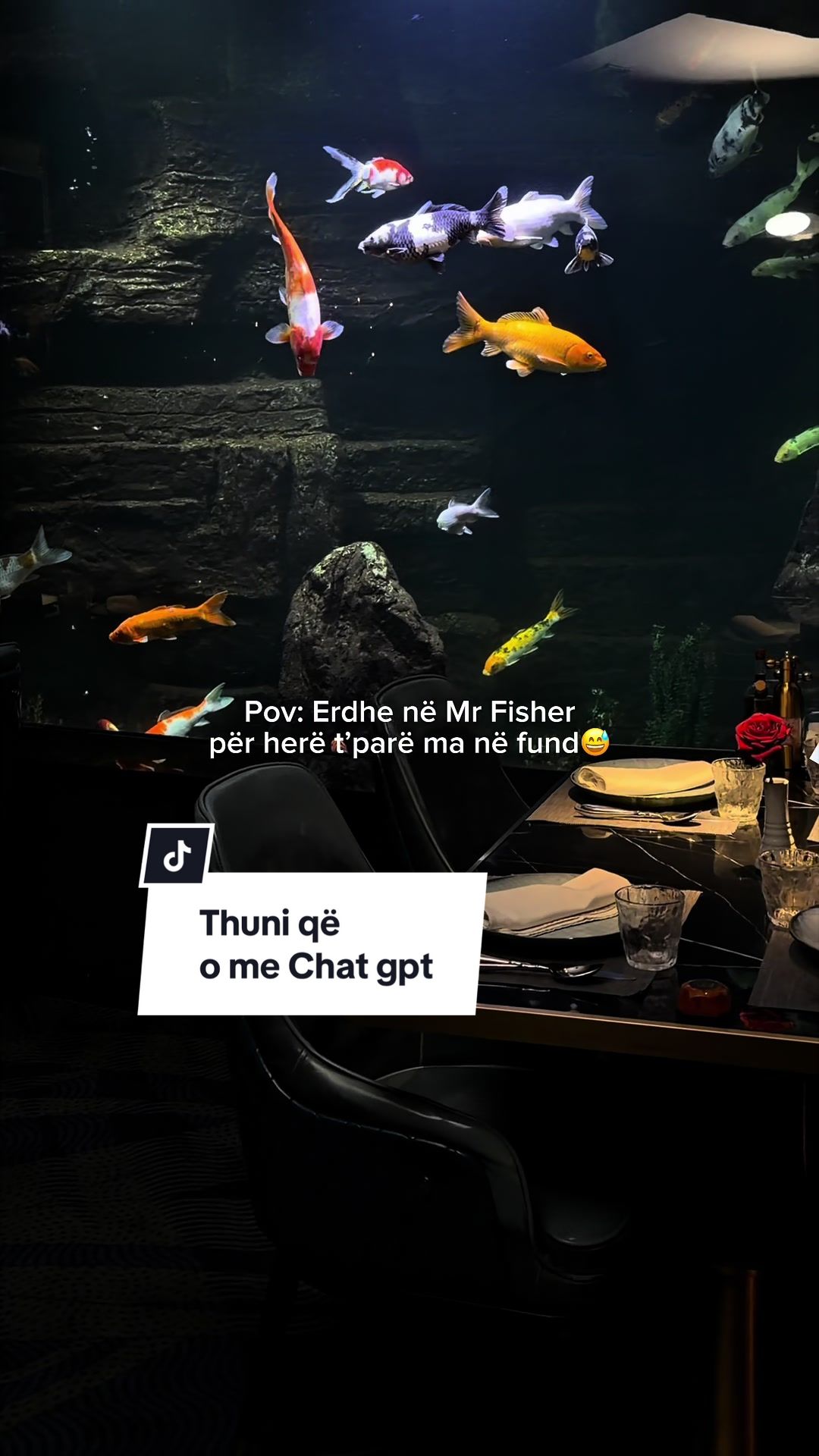 @Mr Fisher Restaurant