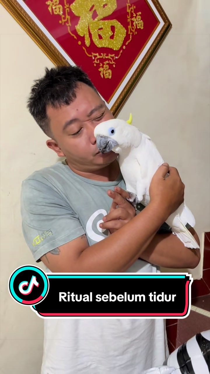 @bio_bege