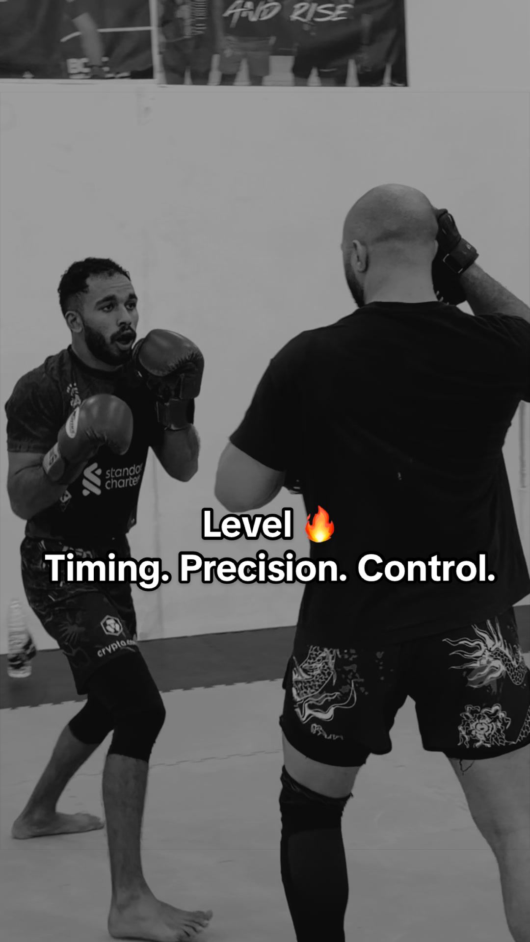 @TGT MMA