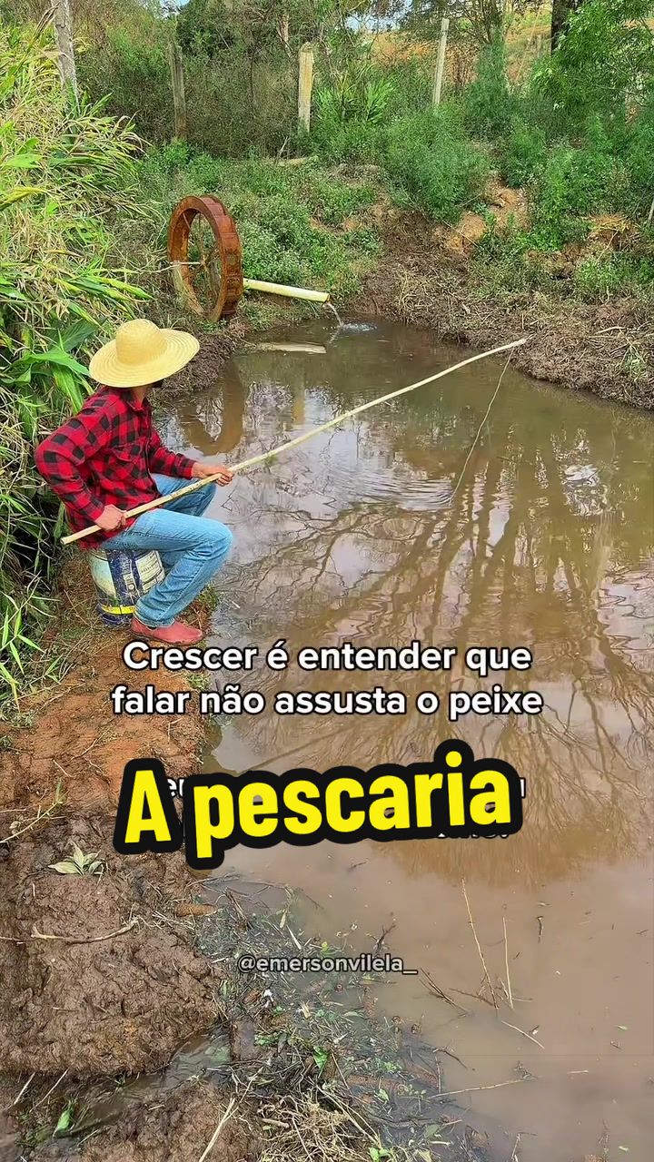 @Emerson Vilela | O Caipira
