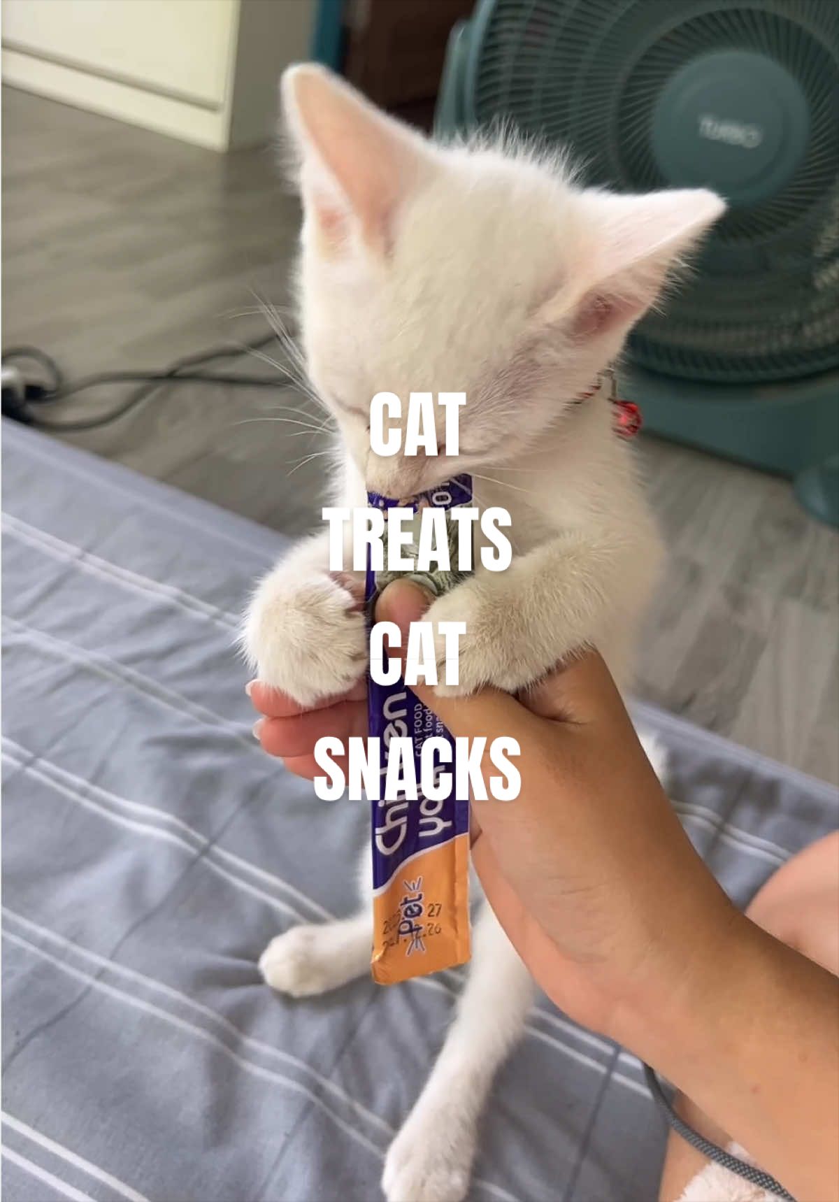 @Camillee Finds🛒