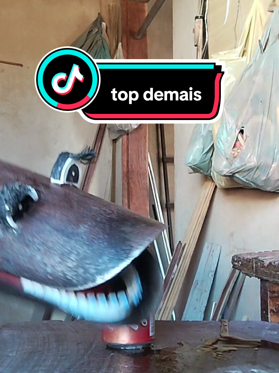 @Celson Guimarães